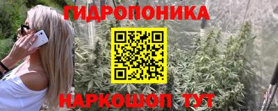 ГАЛЛЮЦИНОГЕННЫЕ ГРИБЫ Новокубанск