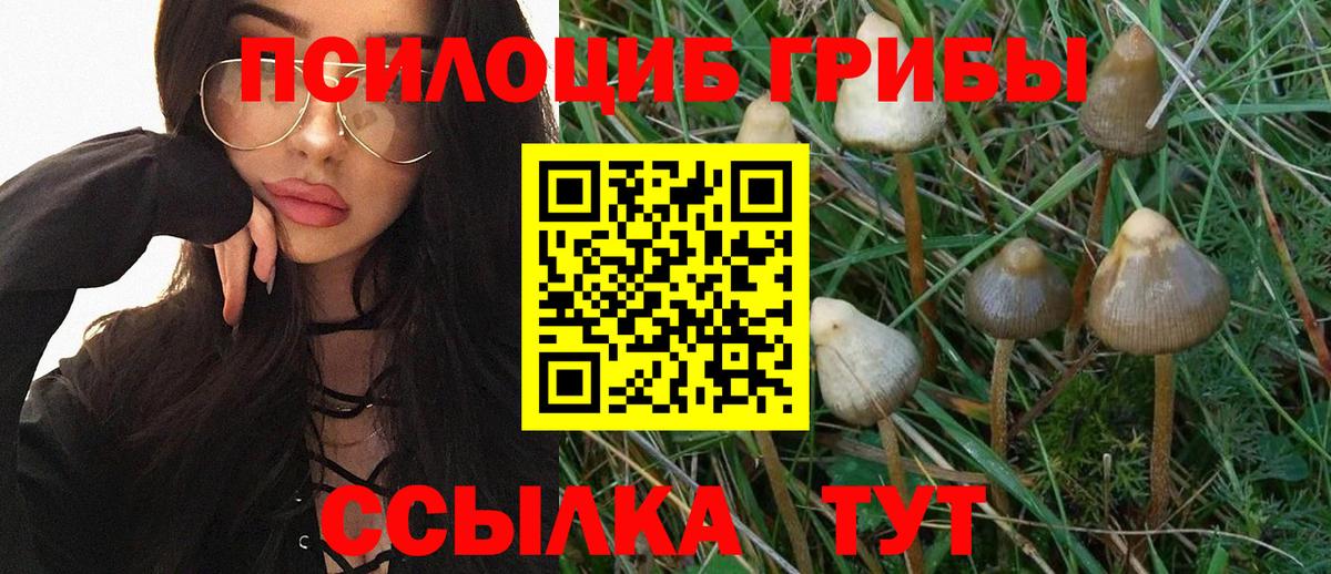 Псилоцибиновые грибы мицелий  Вход с VPN  Тосно 